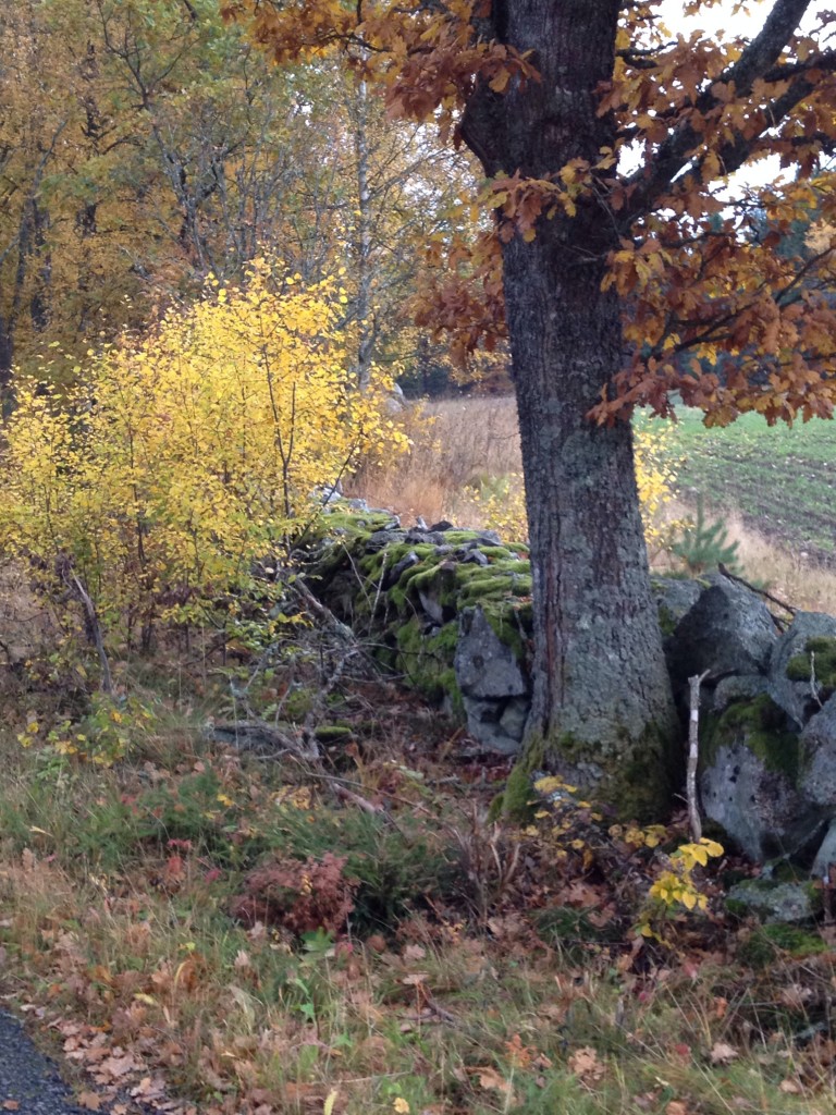 Bild över ett småländskt landskap